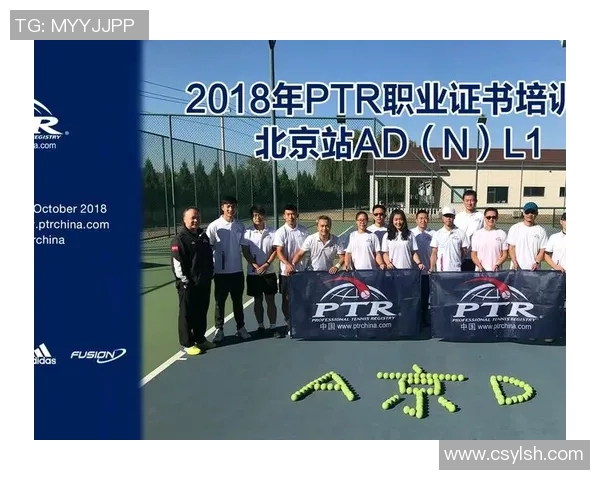 赛后分析:上海网球队与南京网球队的团队协作与战术对比探讨